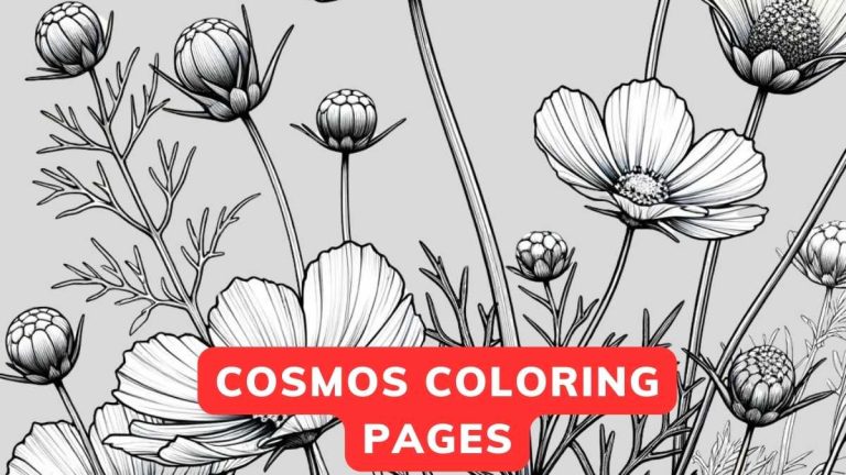 cosmos coloring page