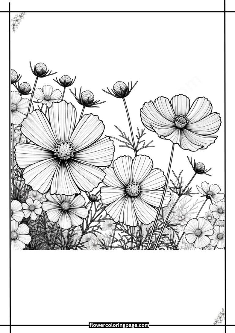 Free Cosmos Coloring Pages Printable PDF Flower Coloring Page