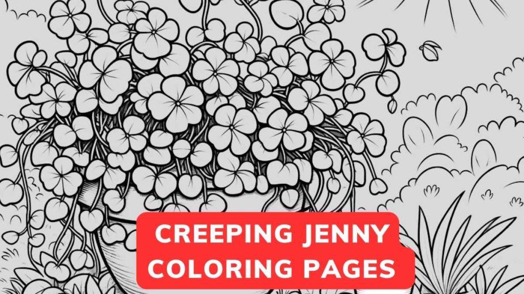 Printable Creeping Jenny Coloring Pages Free PDF - Flower Coloring Page