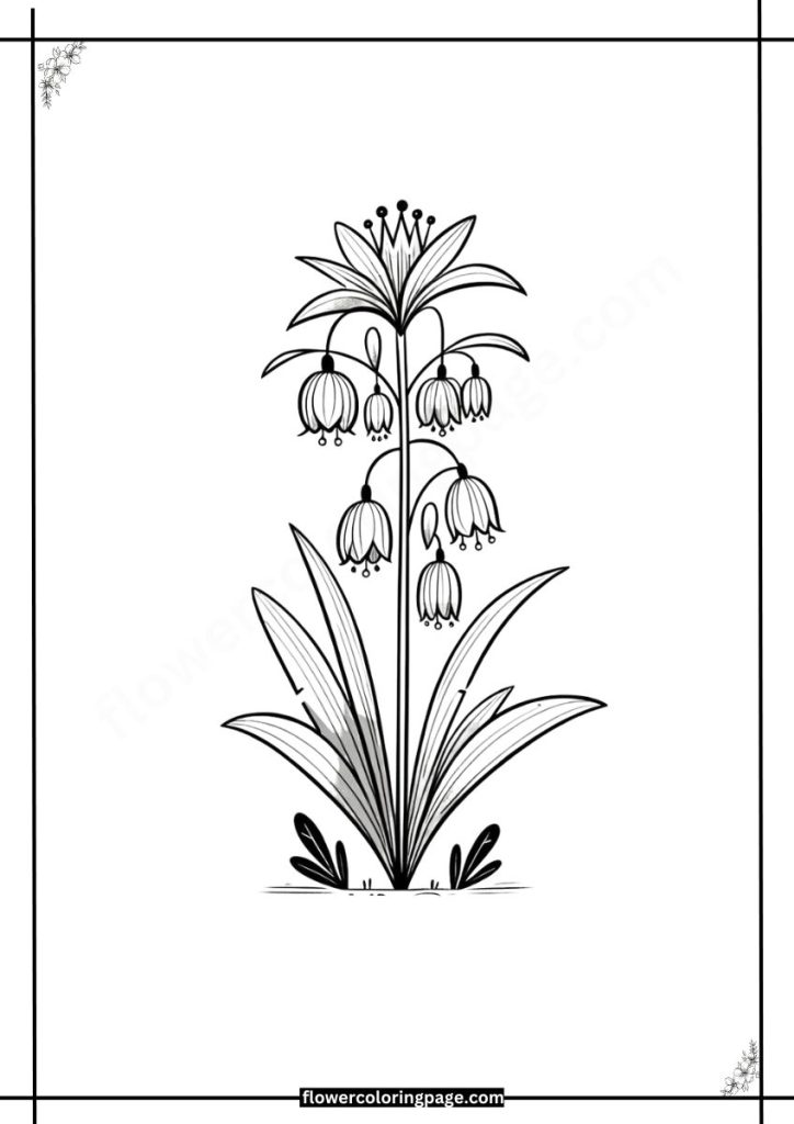 crown imperial coloring pages free download