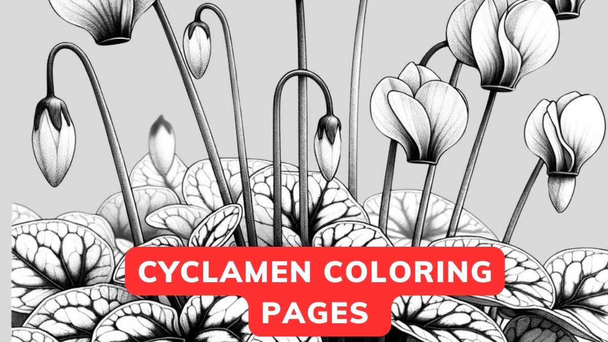 cyclamen coloring page