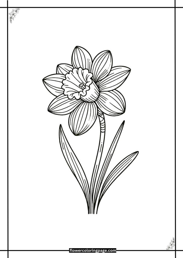 daffodil coloring pages printable