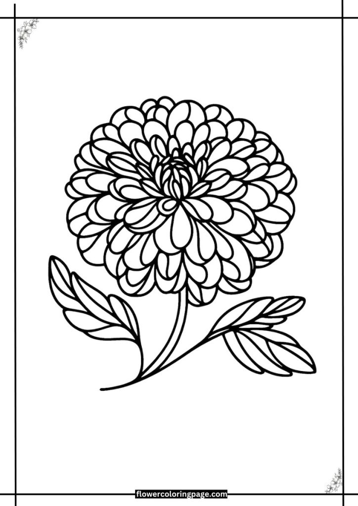 dahlia coloring page