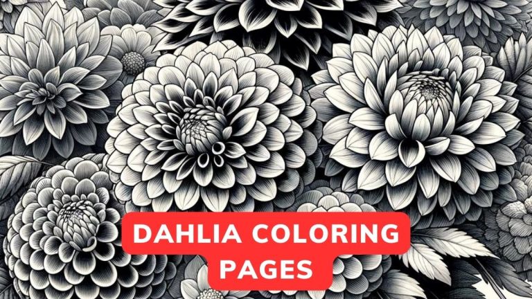 dahlia coloring pages