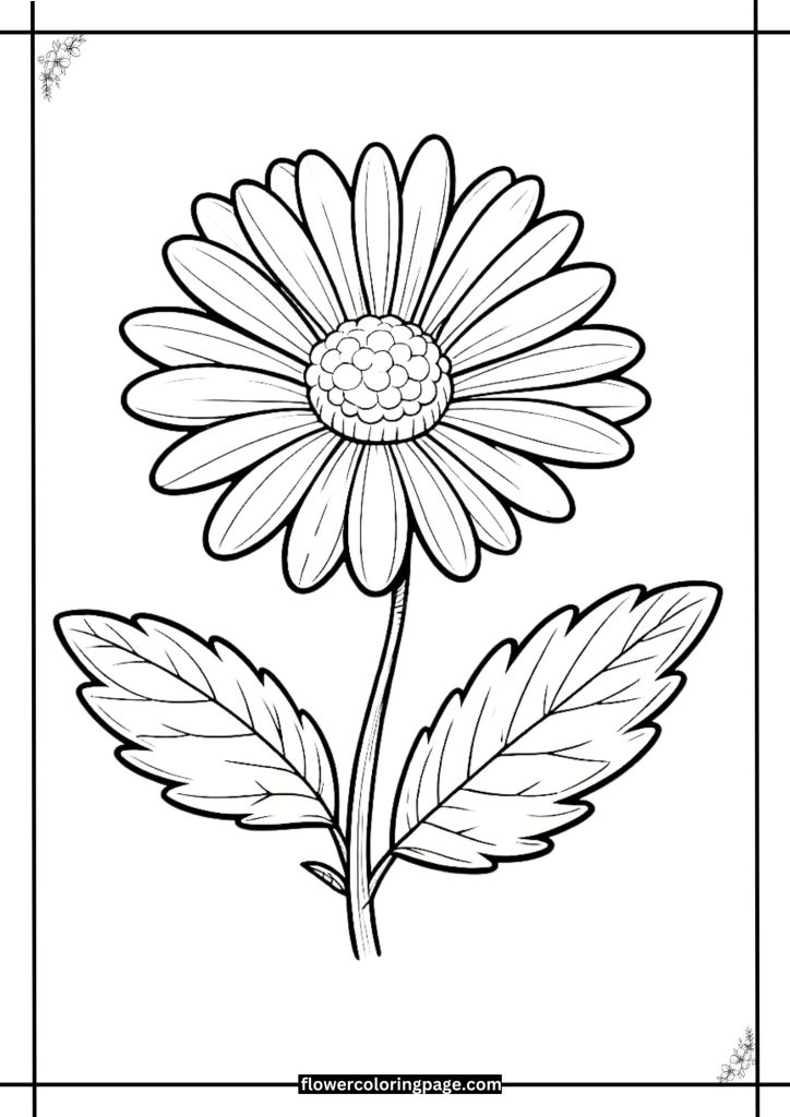 daisy coloring page free