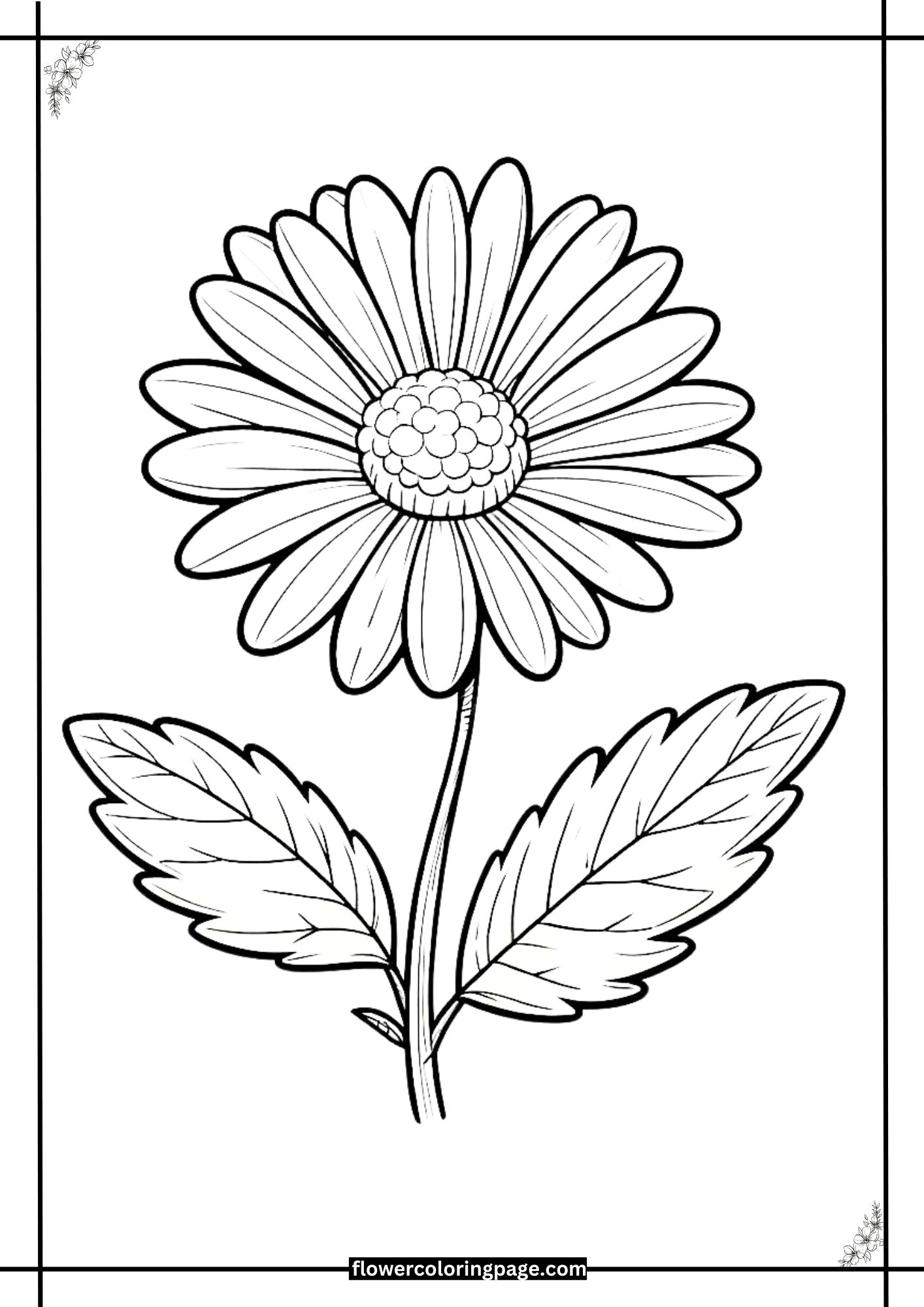 Free Daisy Coloring Page [ PDF Printables ] - Flower Coloring Page