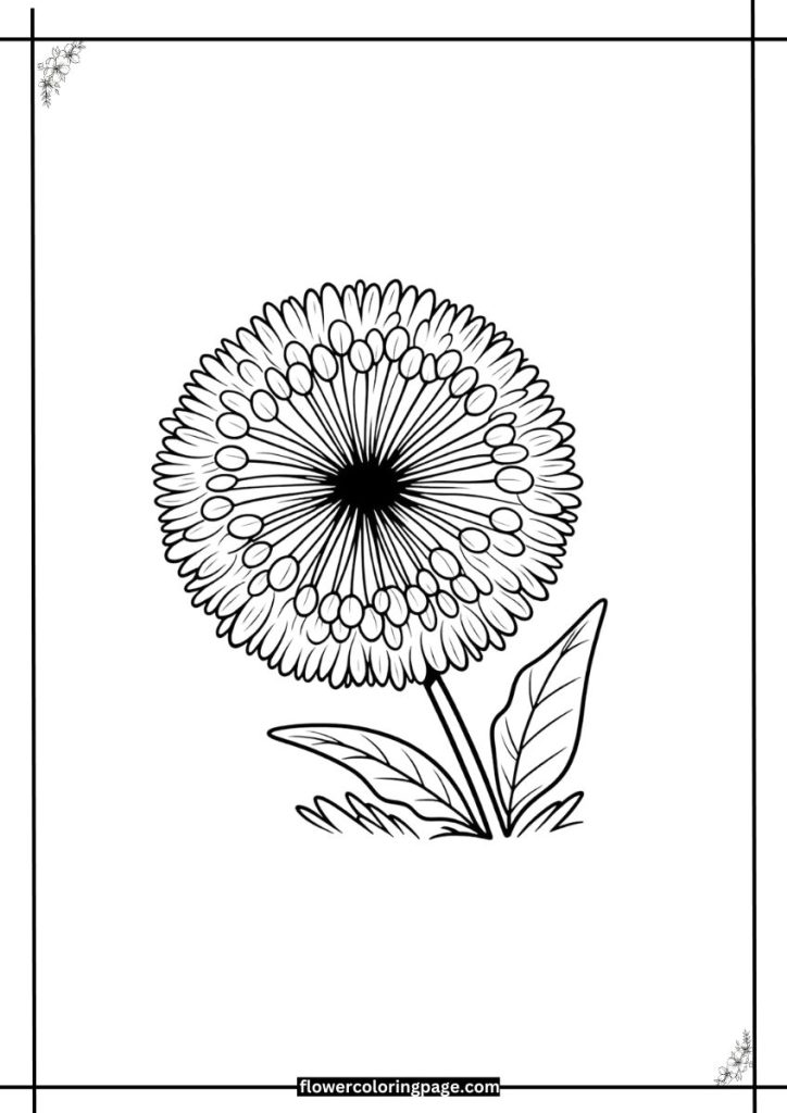 dandelion flower coloring page