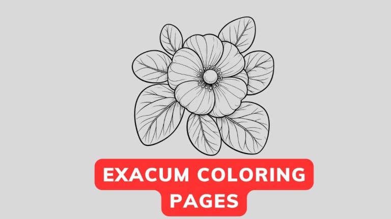 exacum coloring page