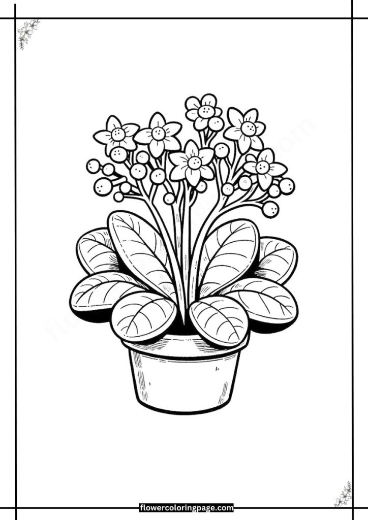 flaming katy coloring pages