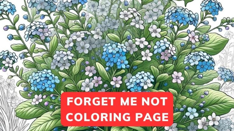 forget me not coloring page