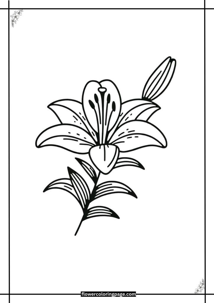 free printable lily coloring pages