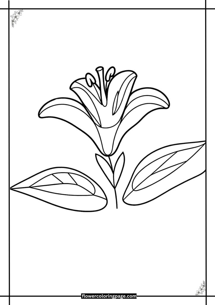 free lily coloring pages