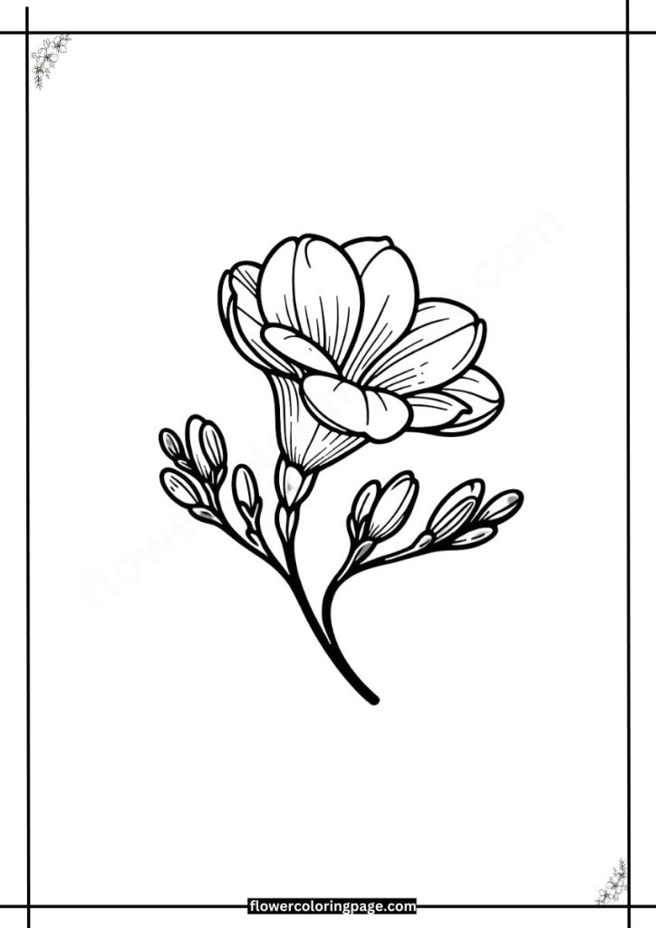 freesia coloring pages printable