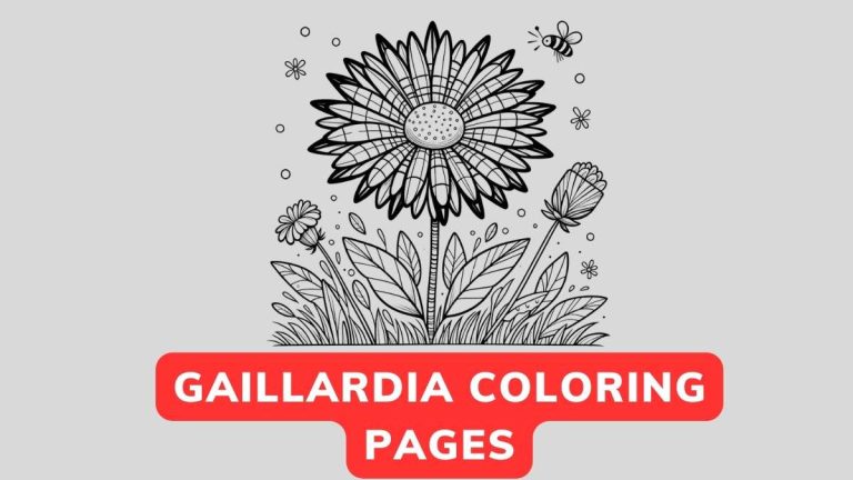 gaillardia coloring page