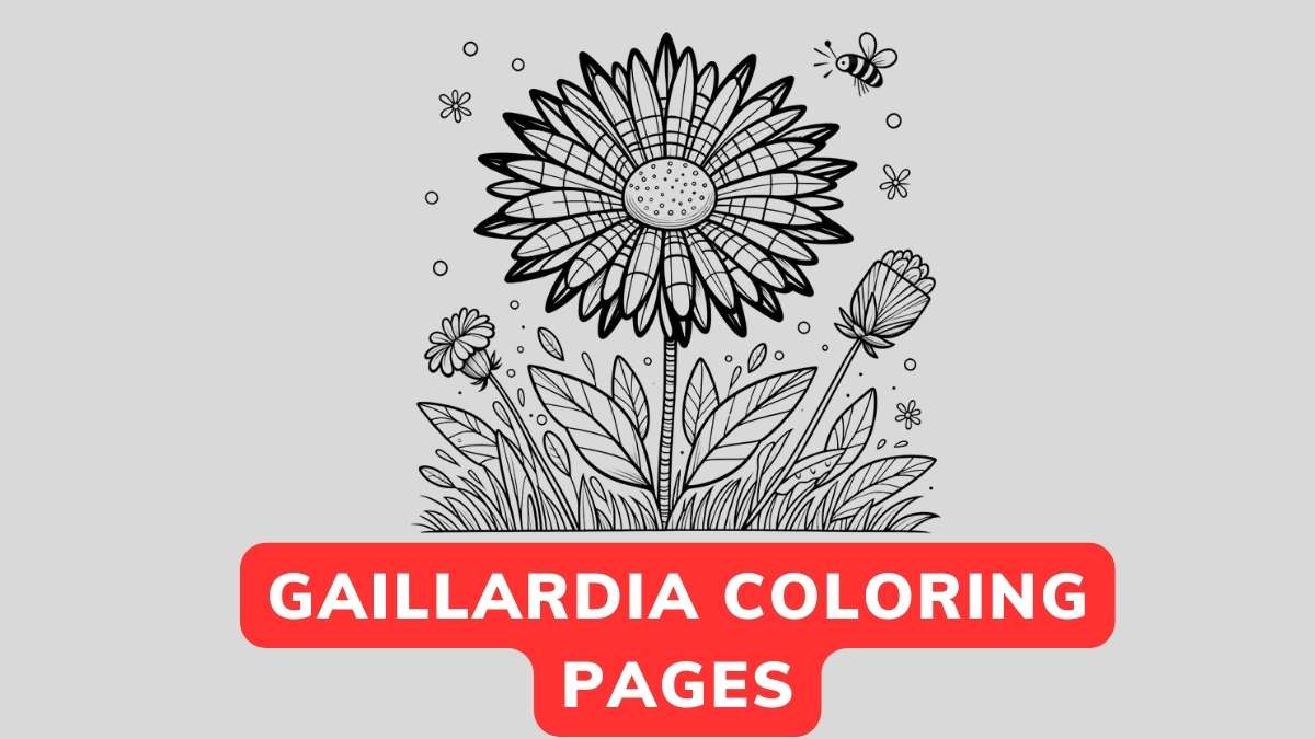 gaillardia coloring page