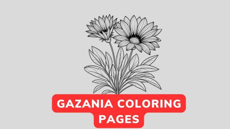 gazania coloring page