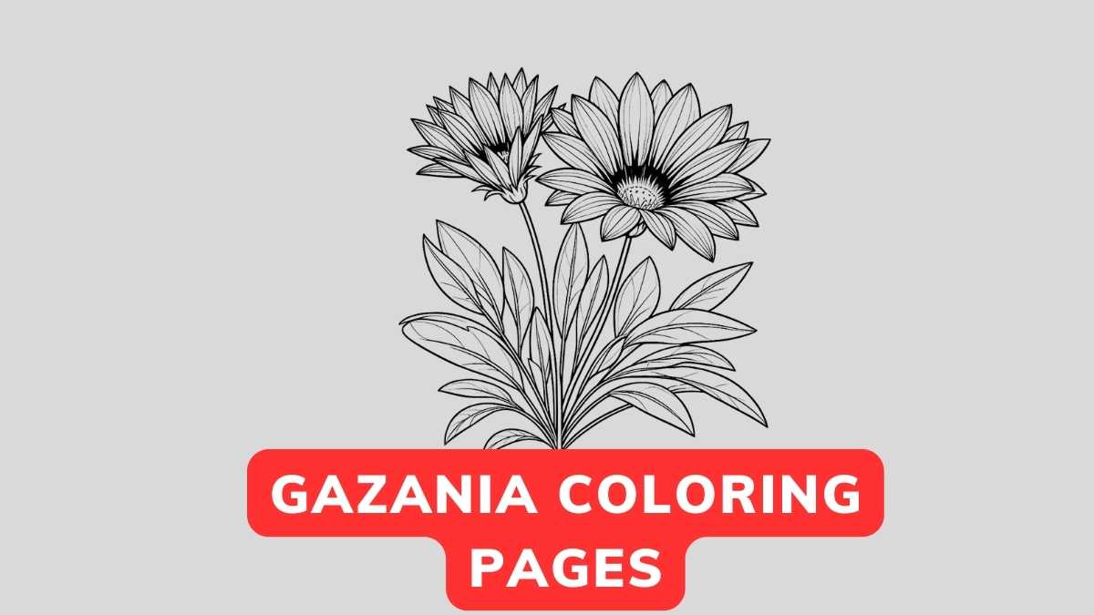 gazania coloring page