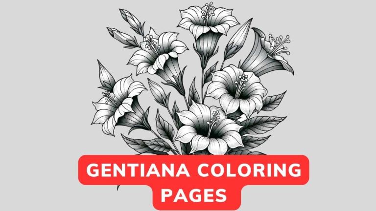 gentiana coloring page