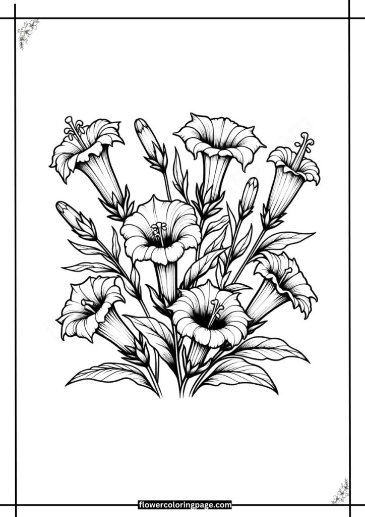 gentiana coloring pages pdf