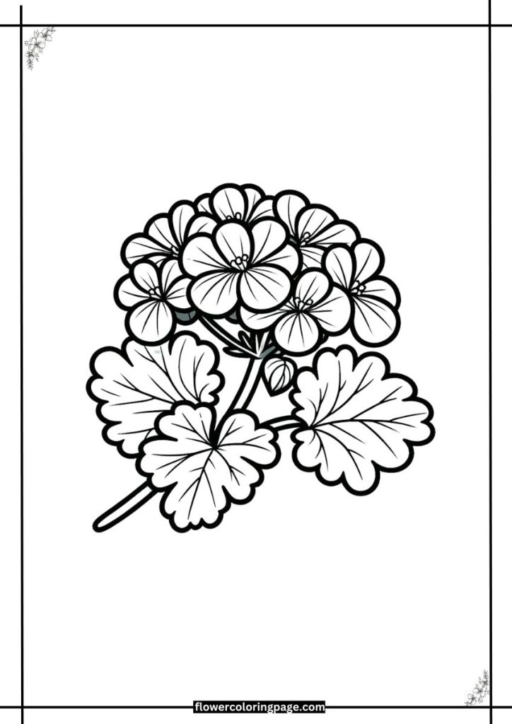 geranium coloring page free