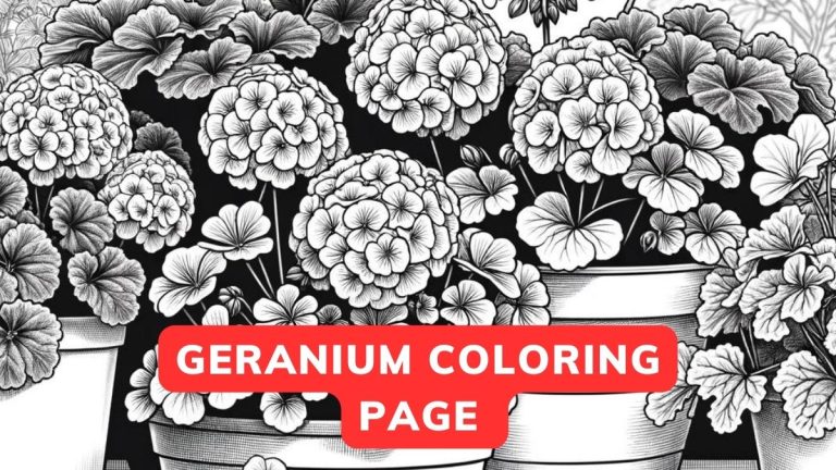 geranium coloring pages