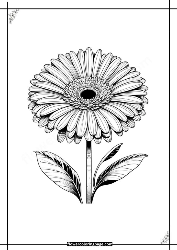 gerbera coloring pages printable