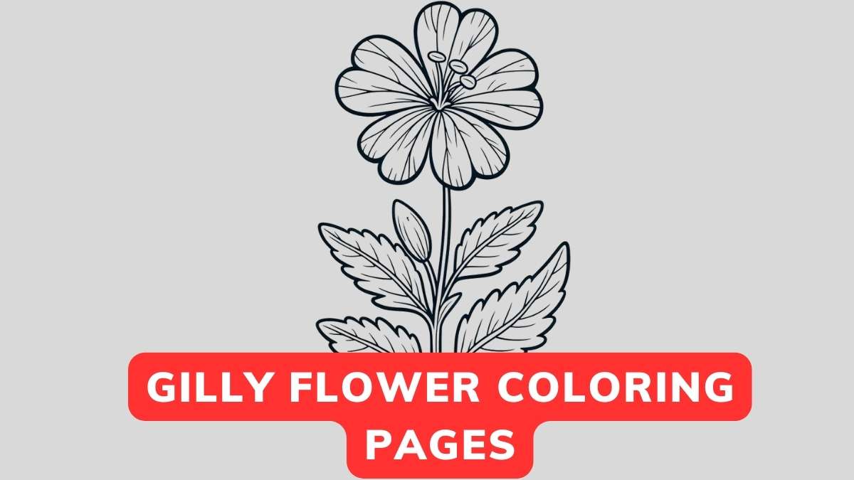 gilly flower coloring pages