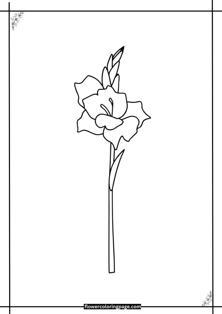 gladiolus coloring page