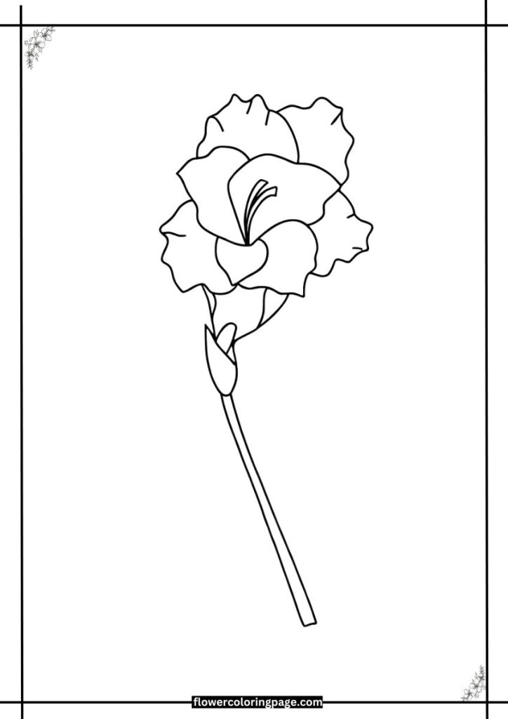 gladiolus flower coloring page