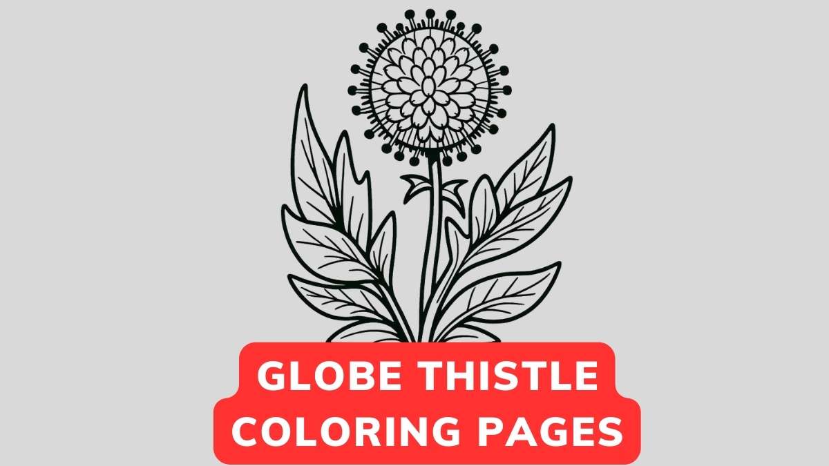 globe thistle coloring page