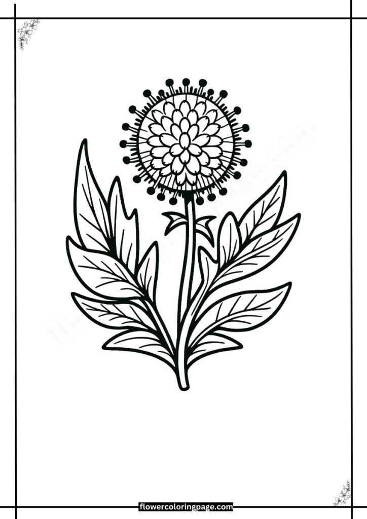 globe thistle coloring pages