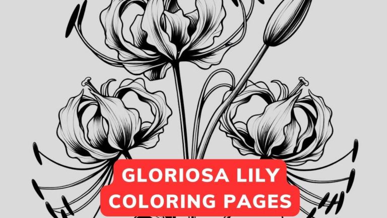 gloriosa lily coloring page