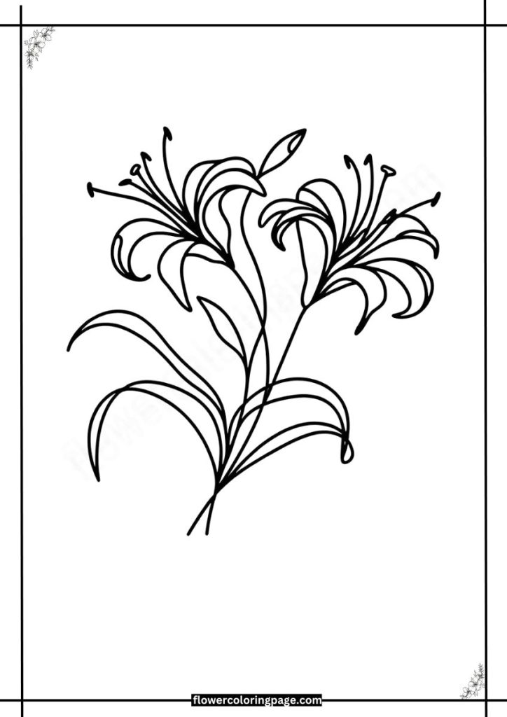 gloriosa lily coloring pages