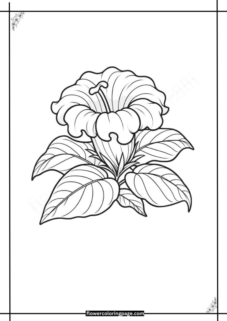 gloxinia coloring pages