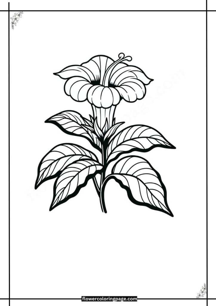 gloxinia coloring pages free download