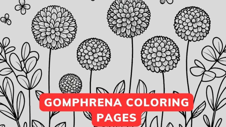 gomphrena coloring page