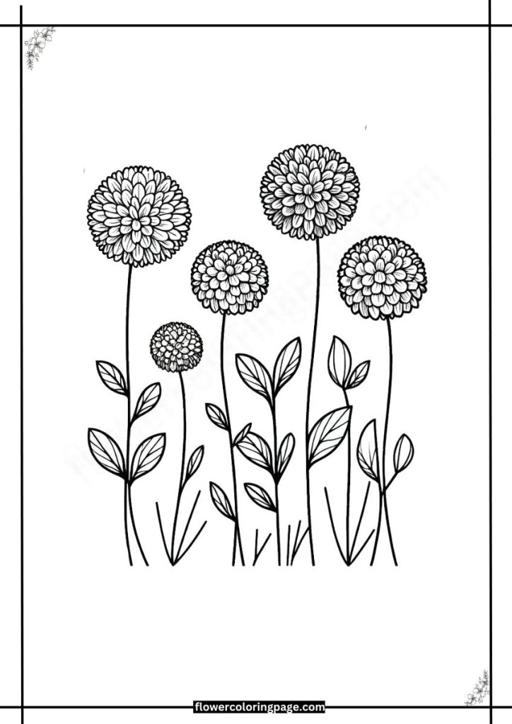 gomphrena coloring pages