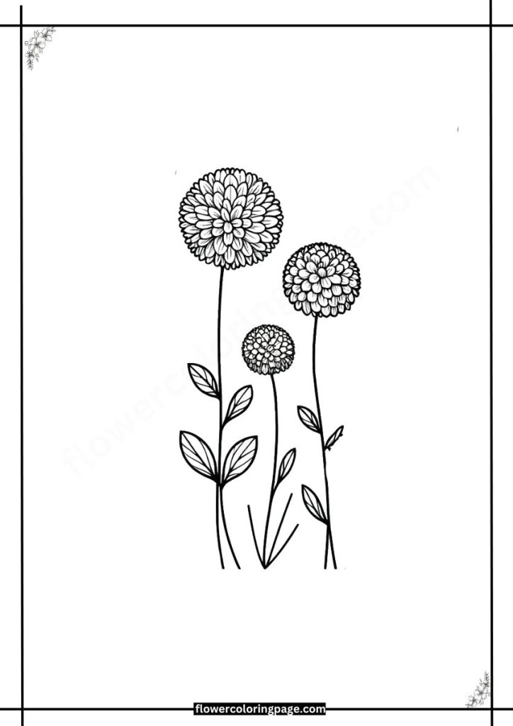 gomphrena coloring pages free download