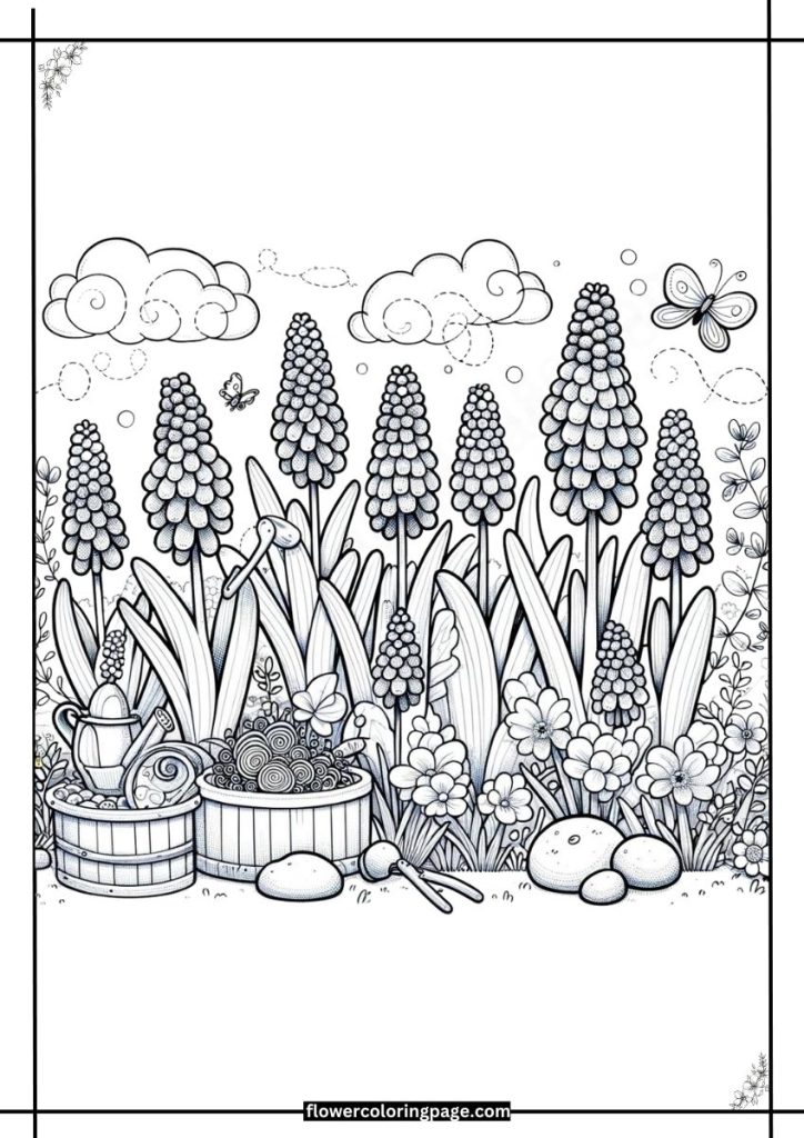 grape hyacinth coloring pages