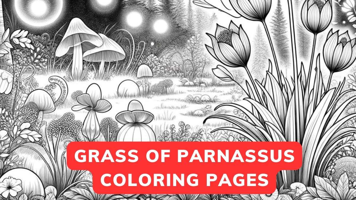 grass of parnassus coloring page