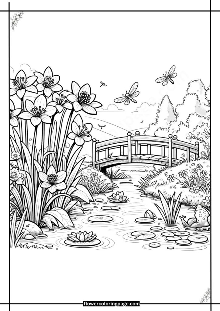 grass of parnassus coloring pages free download