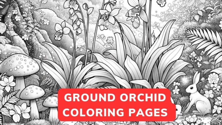 ground orchid coloring page