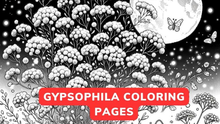 gypsophila coloring page