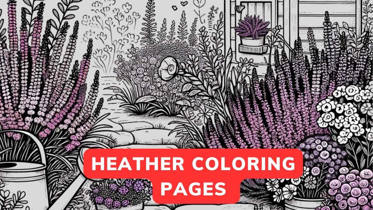 heather Coloring Page