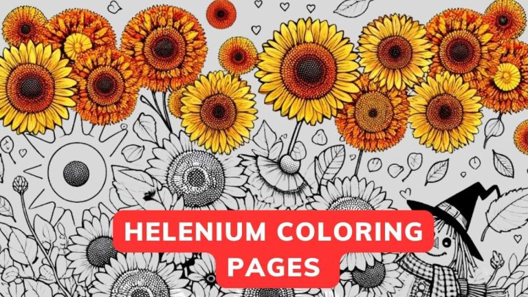 helenium coloring page