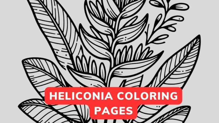 heliconia coloring page