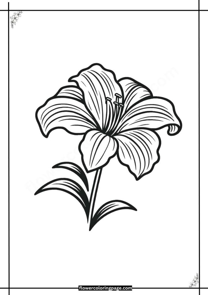 hemerocallis coloring pages