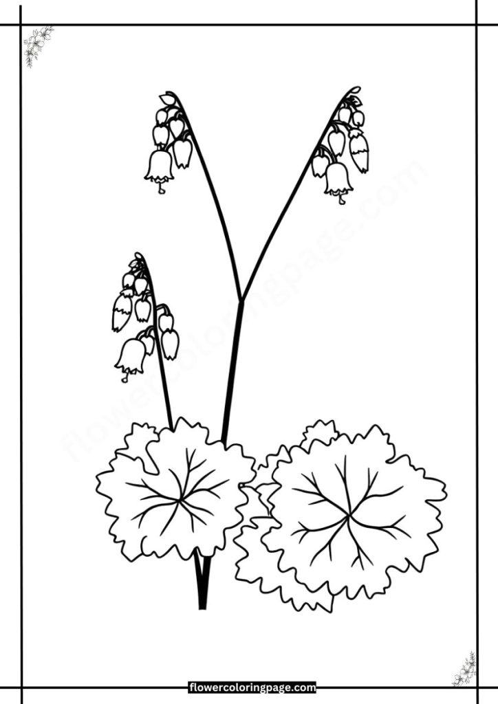 heuchera coloring pages free download