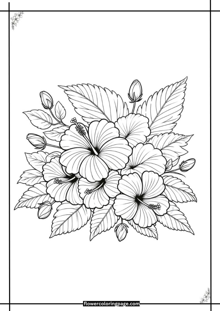 hibiscus coloring pages