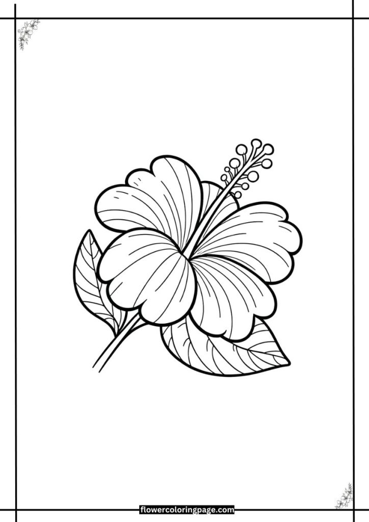 hibiscus coloring pages free